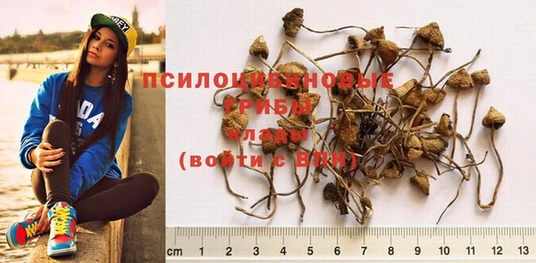 марихуана Краснослободск