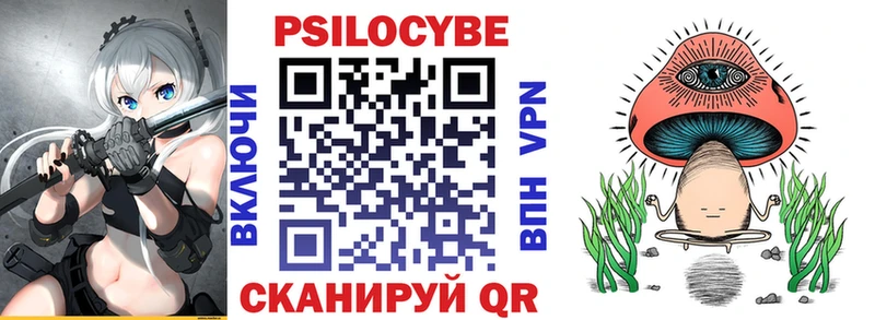 купить   Фурманов  Галлюциногенные грибы Psilocybe 