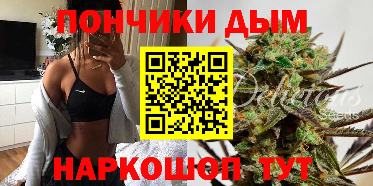 Каннабис Bruce Banner  Фурманов  Конопля план  Марихуана план  Бошки марихуана Ganja 
